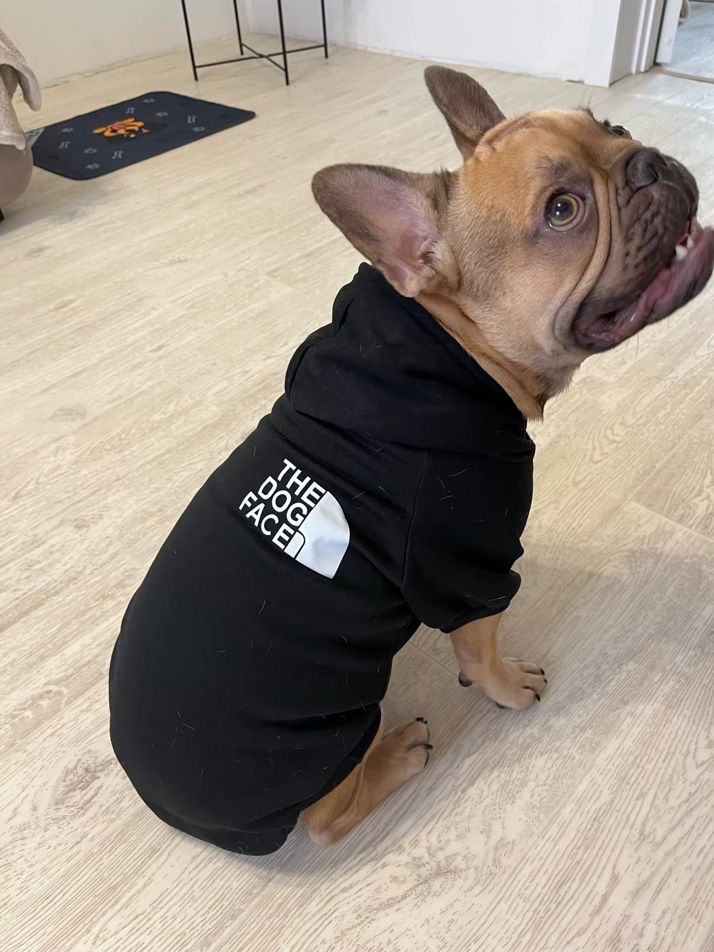 The Dog Face - Premium Pet Wear