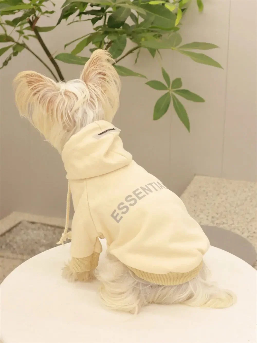 The Essentials Pet Sweater