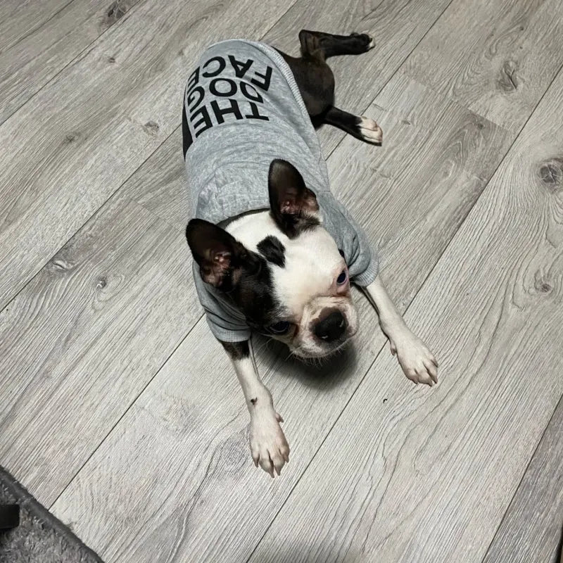 The Dog Face - Premium Pet sweater